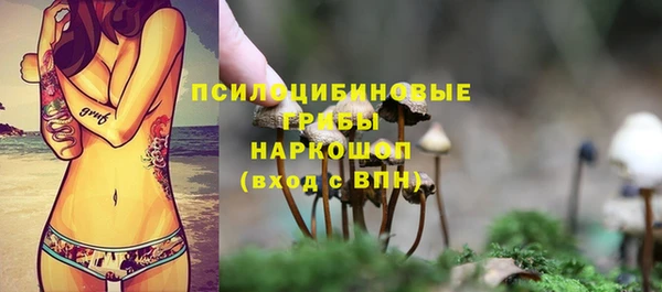 не бодяженный Арсеньев