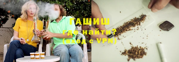 хмурый Аркадак