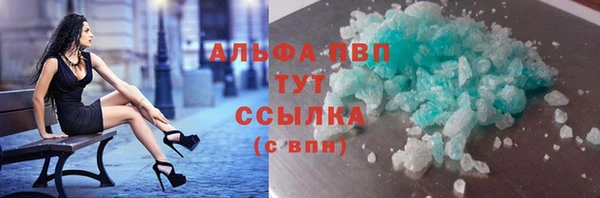 хмурый Аркадак