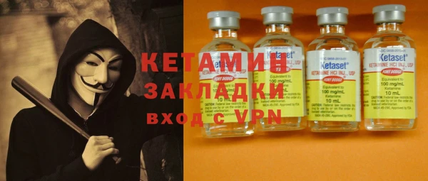 хмурый Аркадак
