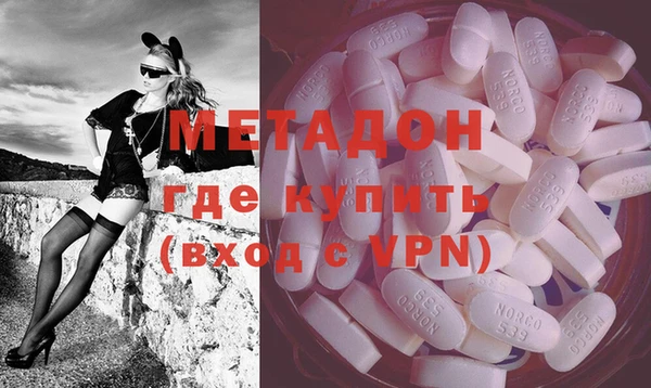 хмурый Аркадак