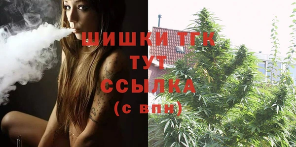 не бодяженный Арсеньев