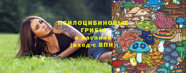 не бодяженный Арсеньев
