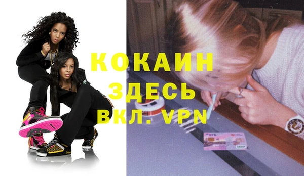 хмурый Аркадак