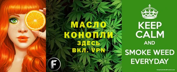 хмурый Аркадак