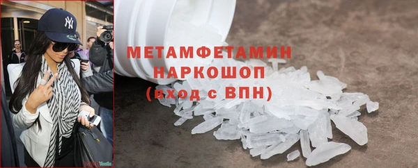 хмурый Аркадак