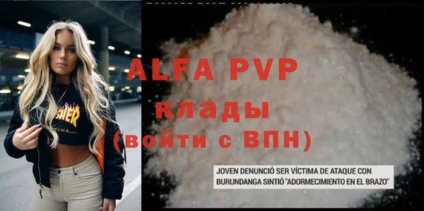 хмурый Аркадак